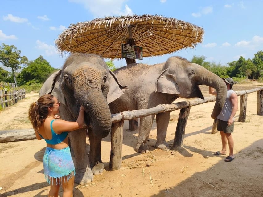 Cambodia Elephant Sanctuary, Pickup and Drop off Included - Detailed Itinerary