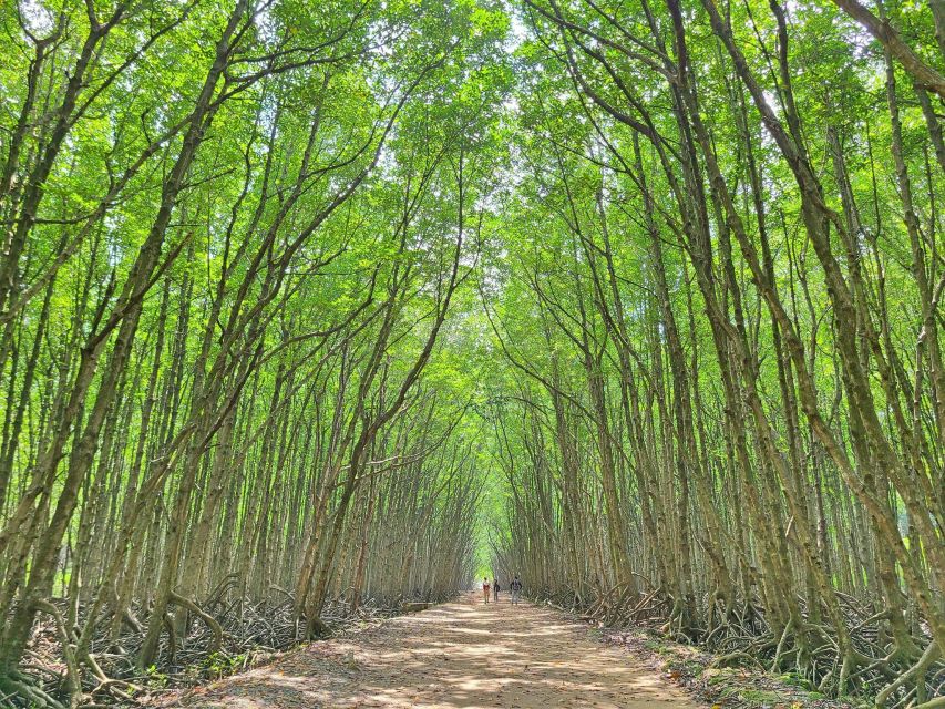 Can Gio Mangrove Biosphere Reserve 1 Day - Activities and Experiences