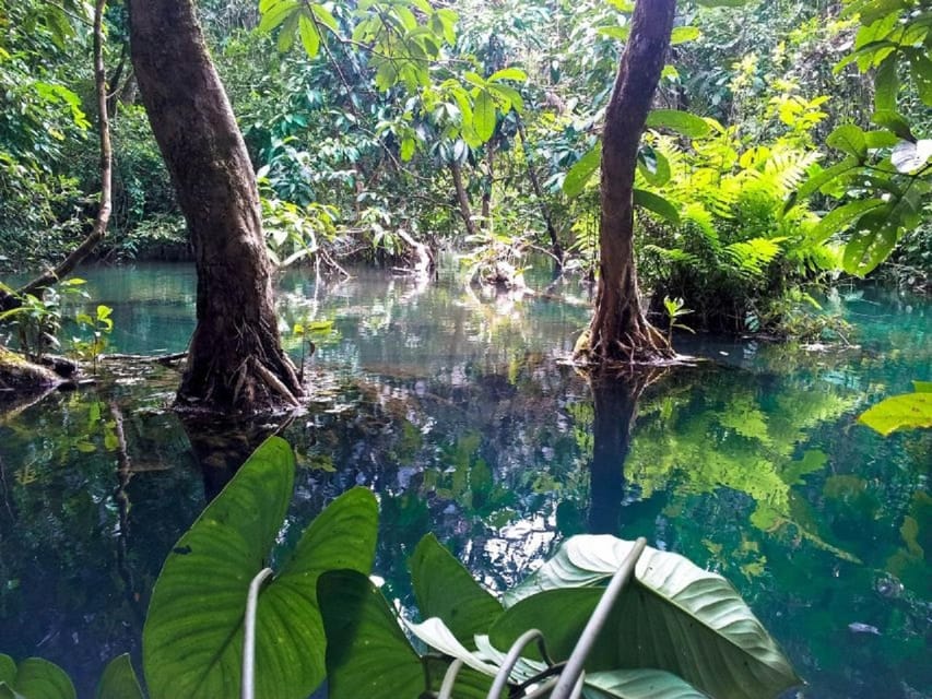 Can Gio Mangrove Forest and Monkey Island Full Day Tour - Itinerary Highlights