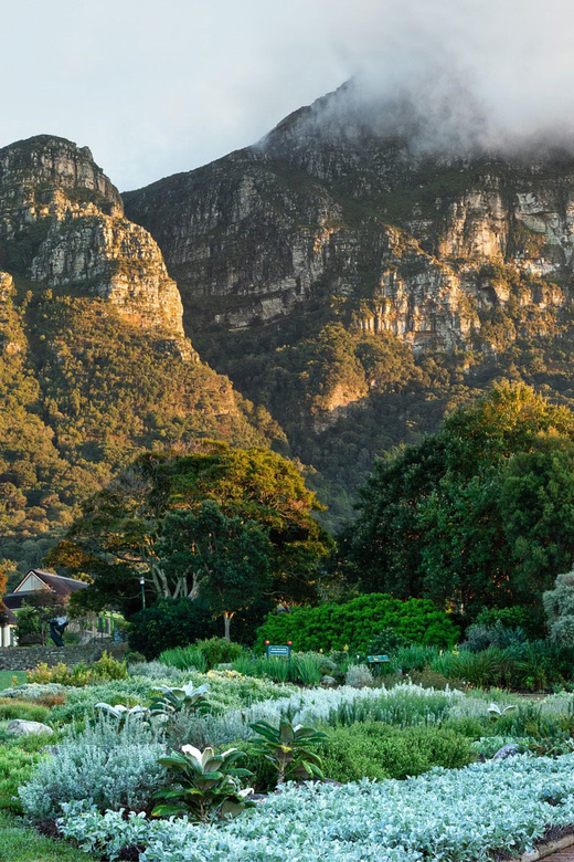 Cape Road Trip, Kirstenbosch Gardens Tour, 3-Course Lunch - Indulging in a Three-Course Lunch