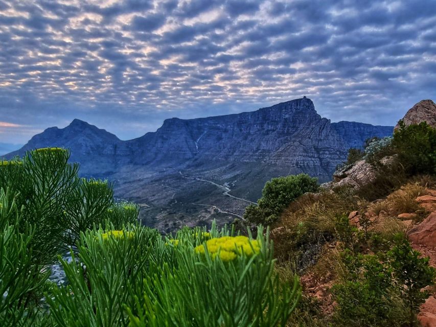 Cape Town: Lions Head Hike & Picnic - Panoramic Views