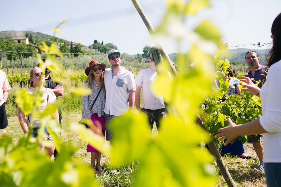 Castiglion Fiorentino: Buccelletti Wine Flight - The Tasting Experience