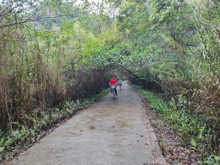 Cat Ba National Park Full Day Guide Tour Trekking & Kayaking - Trekking Experience