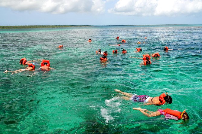 Catalina Island DayTrip + Great Snorkeling - Daily Itinerary and Schedule