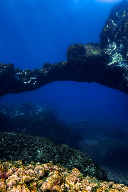 Catania: Scuba Diving Experience - Equipment Provided