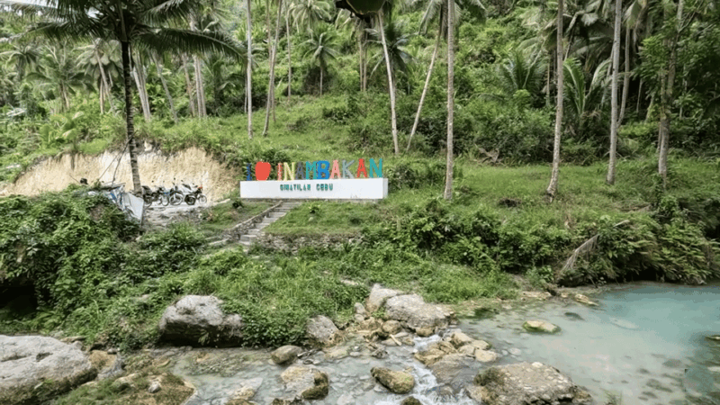Cebu: Inambakan, Kawasan, and Mantayupan Waterfalls Tour - Kawasan Falls