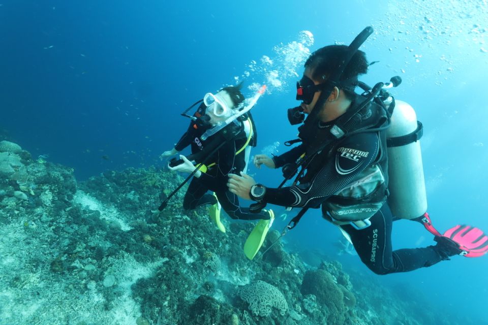 Cebu Mactan:Scuba Diving Experience Beach 1or2 Dive. - Diving Experience