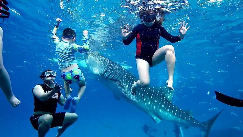 Cebu: Whale Shark Swim and Kawasan Canyoneering Group Tour - Pickup and Drop-off Locations