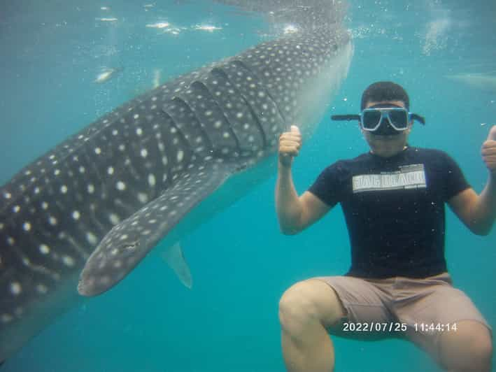 Cebu: Whaleshark Encounter, Tumalog Falls & Sumilon Sandbar - Sumilon Island Exploration