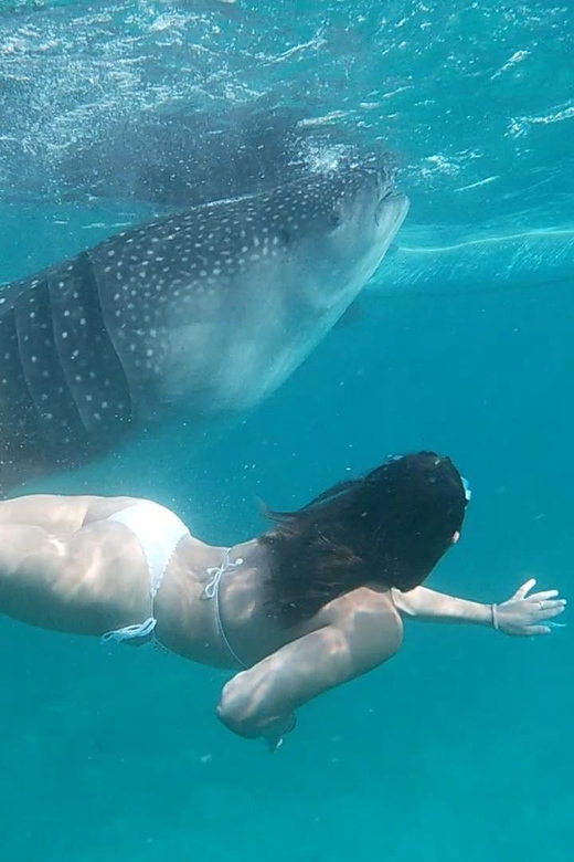 Cebu: Whaleshark & Sumilon Island + Sanctuary Snorkeling - Sumilon Island Exploration