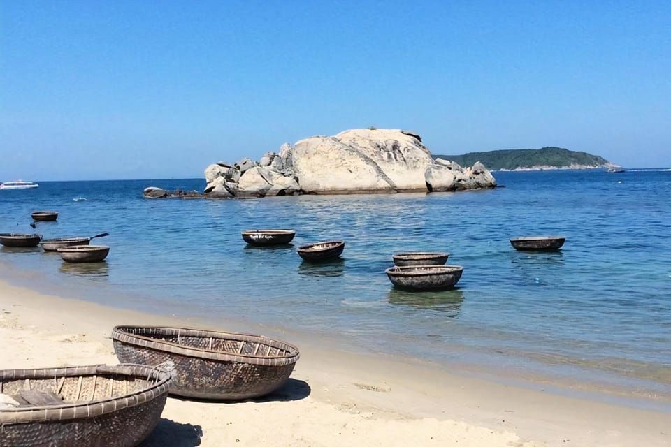 Cham Island Tour With Snorkeling Fun: From Da Nang or Hoi an - Diverse Marine Life in Cham Island