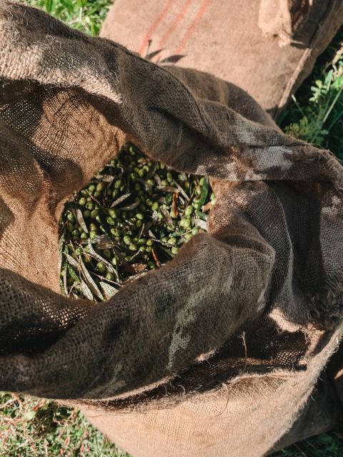 Chania: Full Moon Olive Harvest - Location and Meeting Point
