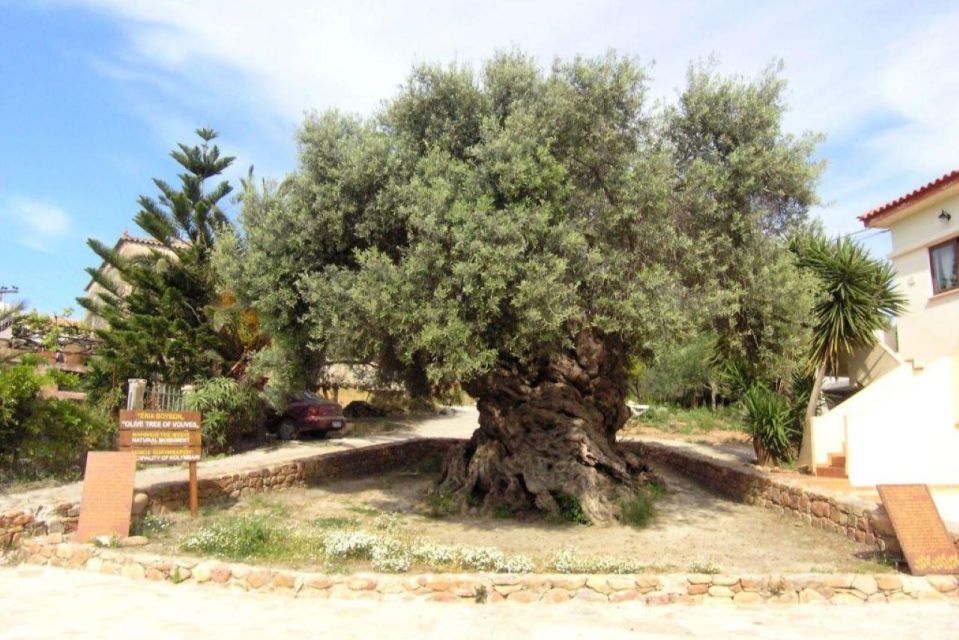 Chania Tasting Tour (Bakery, Olive Oil, Honey & Cheese) - Pickup Locations