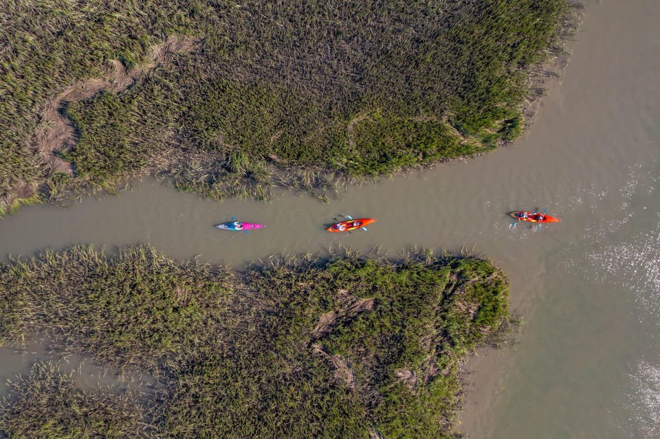 Charleston: Folly Beach Kayak Dolphin Safari - Highlights of the Tour