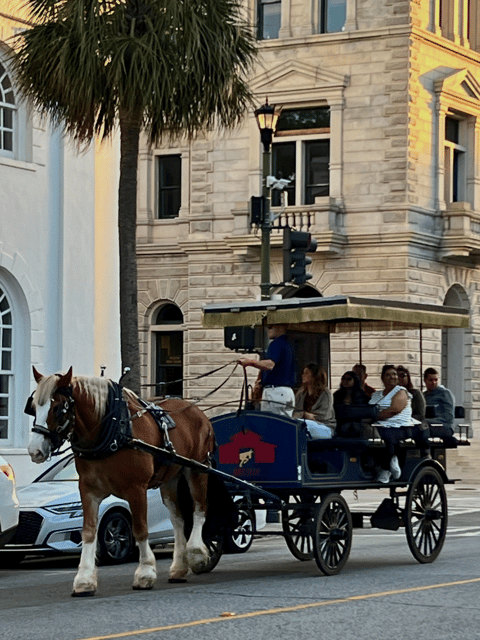 Charleston: Private Haunted History Carriage Ride - Booking Process and Logistics