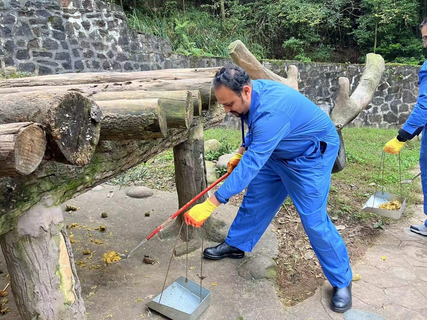 Chengdu: Dujiangyan Panda Base Volunteering Day Trip - Tour and Documentary