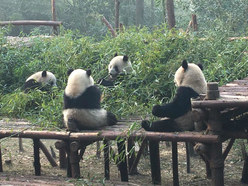 Chengdu: Private Full-Day Panda, City, Museum, & Park Tour - Chengdu Giant Panda Breeding and Research Center