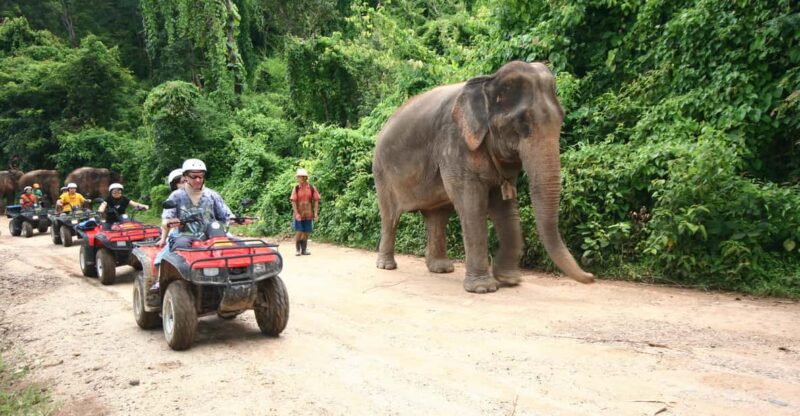 Chiang Mai : ATV Tour - Inclusions