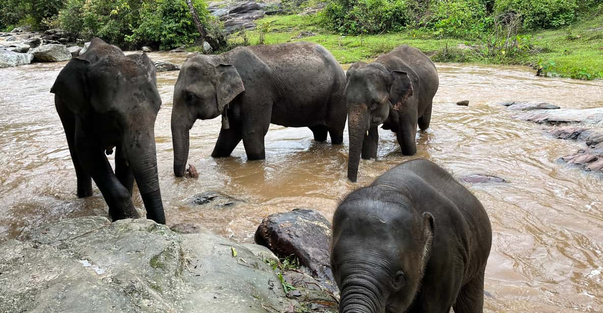 Chiang Mai: Doi Inthanon and Elephant Sanctuary Tour - Itinerary