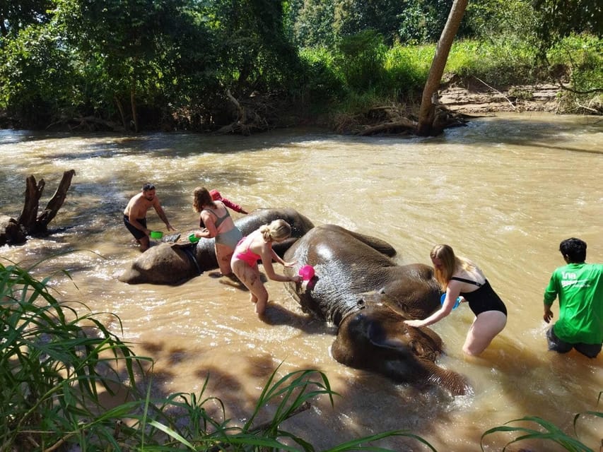 Chiang Mai: Doi Inthanon National Park & Elephant Sanctuary - Doi Inthanon National Park