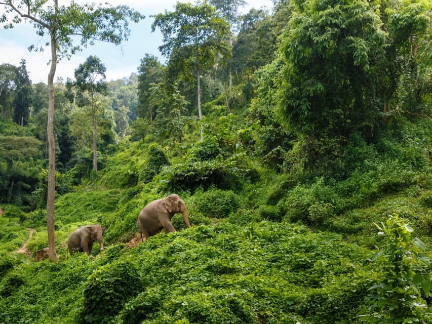 Chiang Mai: Doi Inthanon Park and Pha Dok Siew Trail Trek - Itinerary Highlights