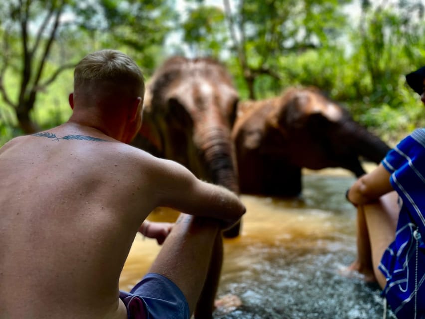 Chiang Mai: Elephant Dream Project Sanctuary - Half-Day - Highlights