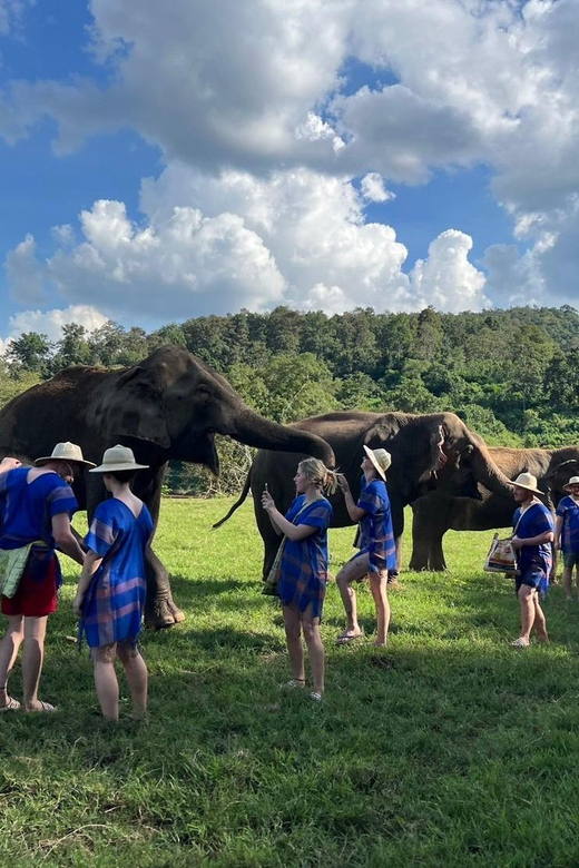 Chiang Mai: Half Day Elephant Care Program - Pickup and Logistics