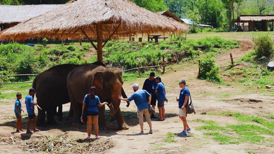 Chiang Mai: Half Day Living Green Elephant Sanctuary - Important Information