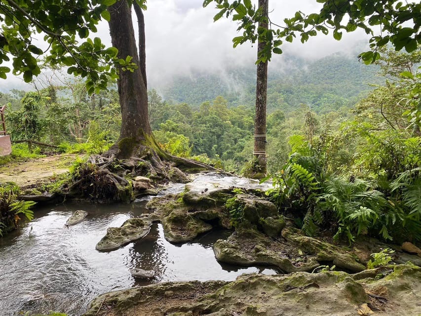 Chiang Mai Half Day Tour: Sticky Waterfall & Hotel Transfer - Inclusions and Exclusions