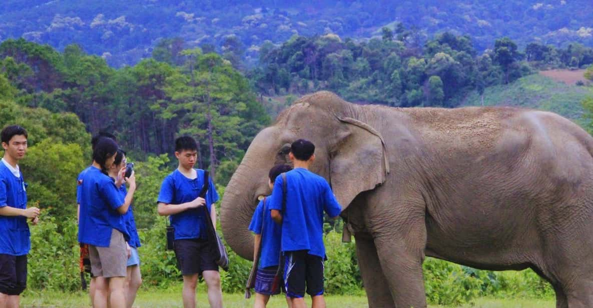 Chiang Mai: Living Green Elephant Sanctuary & Intanon Hiking - Itinerary and Experiences