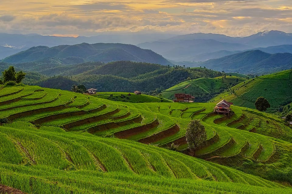 Chiang Mai : Pa Bong Piang Rice Terraces & Doi Inthanon - Tour Inclusions