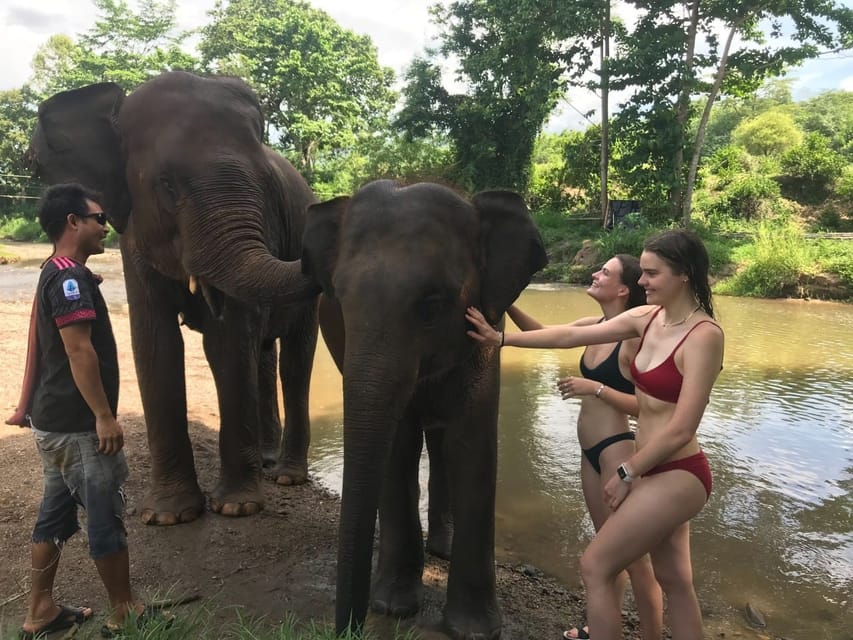 Chiang Mai: Top Rated Elephant Afternoon Tour (Starts 12PM) - Experience and Cultural Immersion