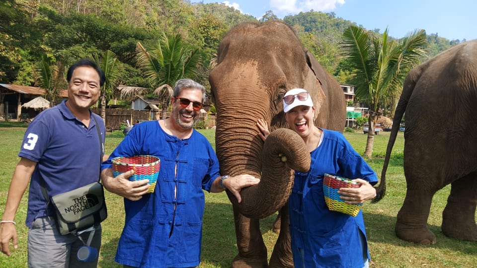 Chiang Mai Tour: Bua Tong Sticky Waterfall & Elephant Care - Inclusions and Pricing