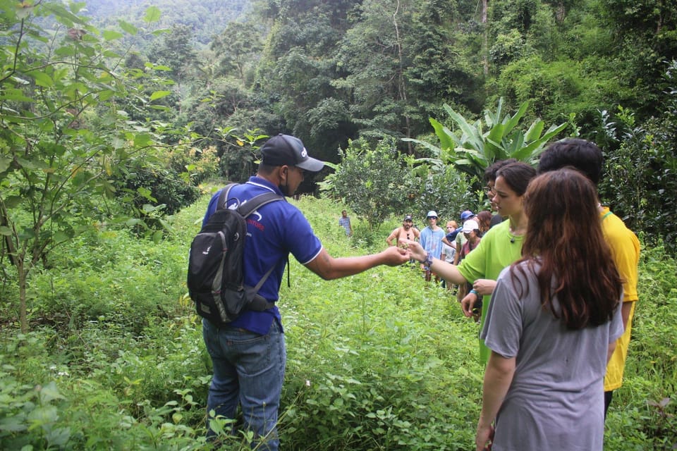 Chiang Mai : Trekking + Elephant Care - Elephant Care Experience