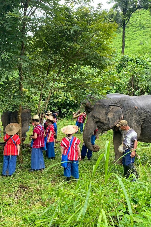 Chiang Rai:Experience the Way of the Elephants [Half-Day] - Pickup Locations and Accessibility