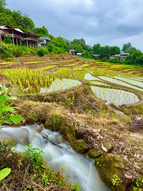 Chiangmai : Doi Inthanon Unseen Spot , Rice Terrace & Temple - Cultural Experiences