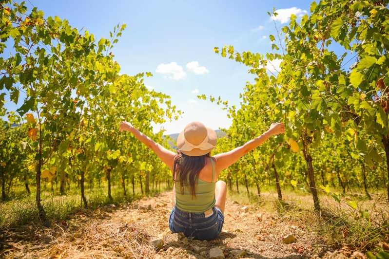 Chianti Wine Region From Florence With Wine Tastings - Itinerary and Duration