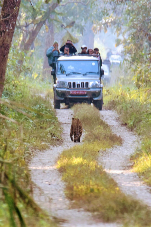 Chitwan: 3-Day Chitwan National Park Safari Tour - Experience Highlights