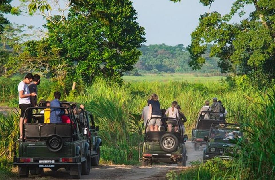 Chitwan Jungle Safari 2 Nights 3 Days From Kathmandu - Exciting Activities