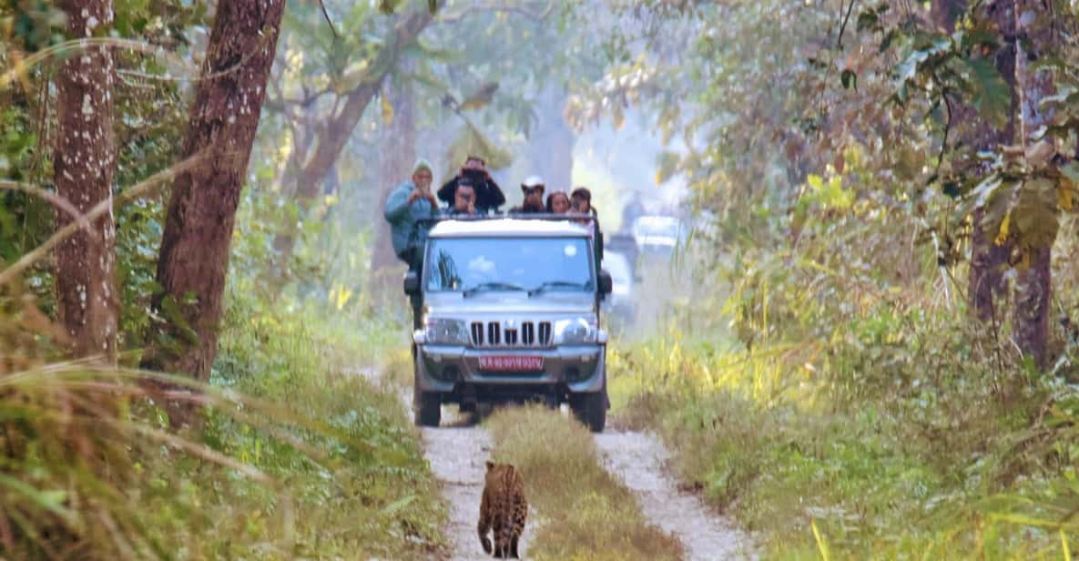 Chitwan National Park: Jeep Safari Tour With Guide - Wildlife Encounter Highlights