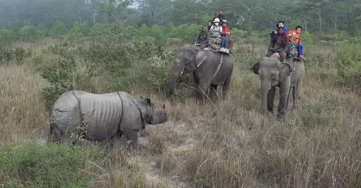 Chitwan National Park Luxury Tour - Exciting Activities