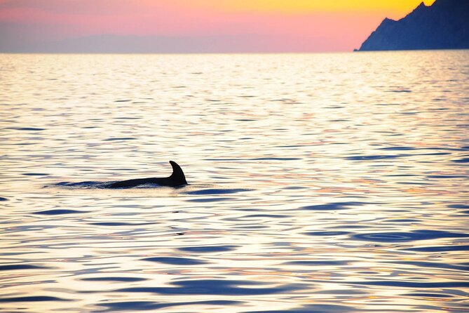 Cinque Terre Sunset Cruise With Aperitif - Expansive Coastline Views