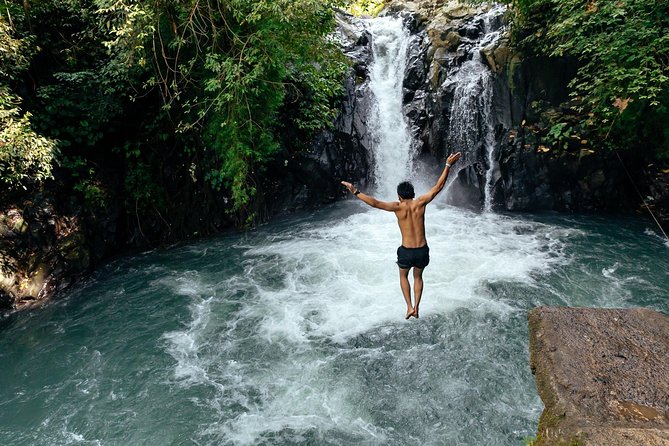 City Escape: Bali Waterfalls Private Day Trip - Tour Inclusions and Logistics