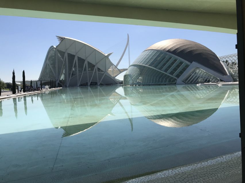 City of Arts & Sciences Tour on Bicycle, E-Bike or E-Step - Exploring Turia Park