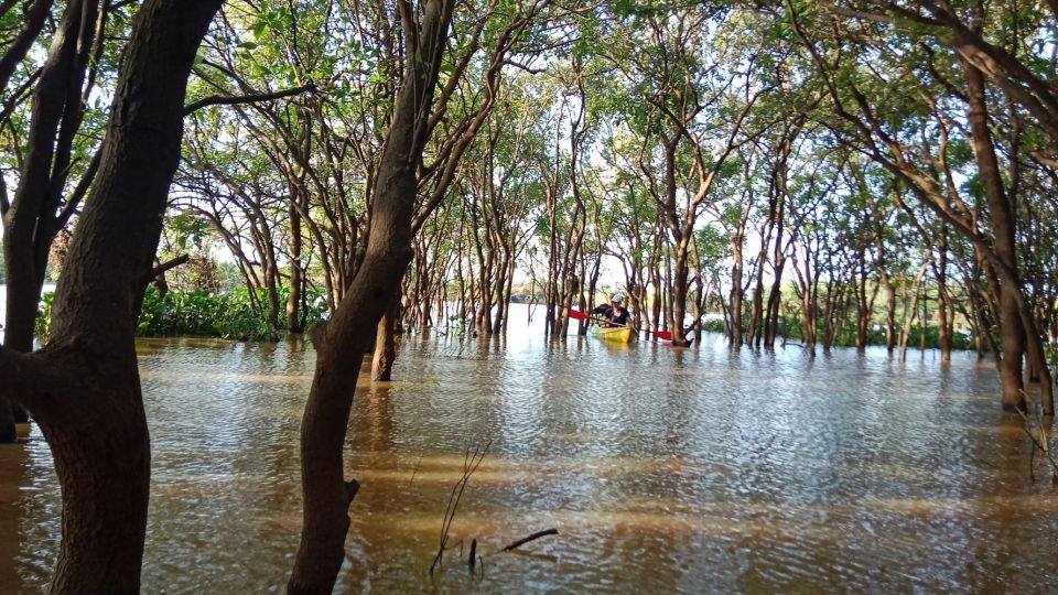 Classic Siem Reap Tour - Natural Wonders Explored