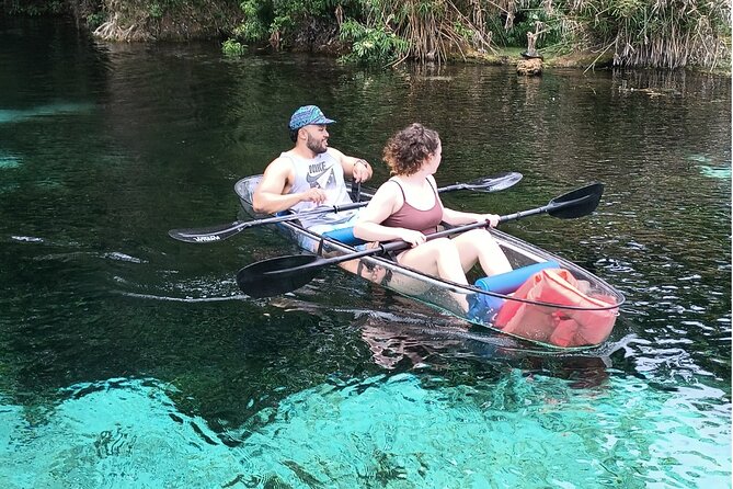 Clear Kayak or Paddleboard Manatee Adventure - Wildlife Viewing Opportunities