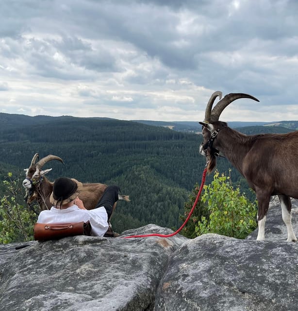 Climb the Mountains Together With Goats - Hiking Experience