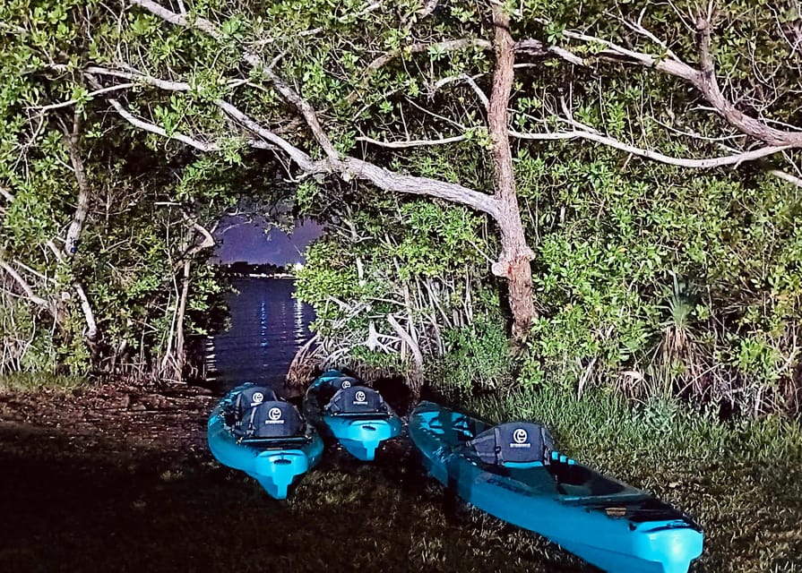 Cocoa Beach/Merritt Island:Bioluminescent Kayak Tour - Equipment Provided