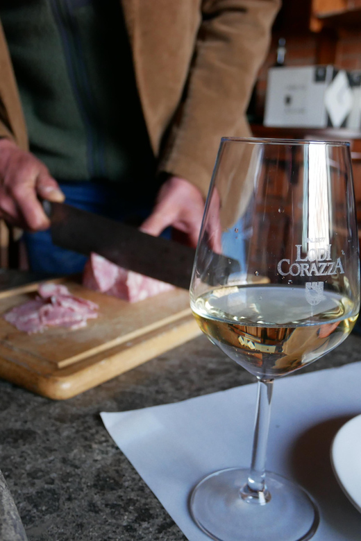 Colli Bolognesi: Exclusive Wine Tour and Tasting - Itinerary Highlights