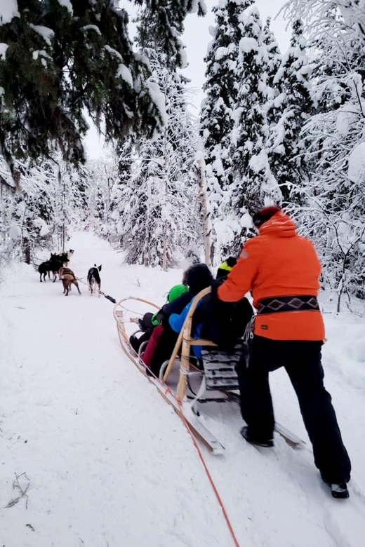 Combo TourHusky and Reindeer Sledding Ride in Levi - Experience the Activities